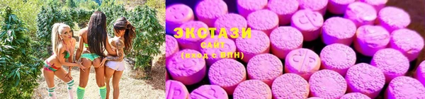 кокс Алзамай